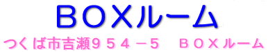 筑波　インターネット　宿　电脑