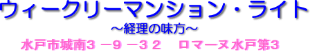 Mito Business Hotel