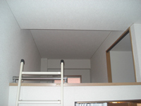 �E�B�[�N���[�}���V���������莺��Pic. 1